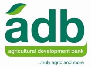 We didn’t collude to buy adb shares – Belstar Capital