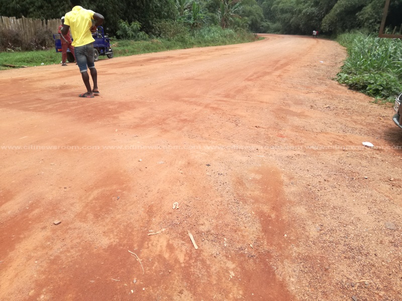Halted Kakum National Park road project frustrates visitors