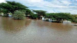Kenya dams ‘a flood risk’ after heavy rains