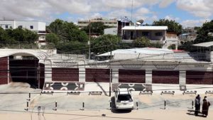 Somali gunmen abduct German Red Cross nurse in Mogadishu
