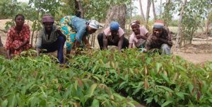 GASIP engages farmers to boost productivity