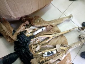 2 Nigerians busted trying to smuggle drugs in ‘Kako’