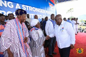 Suspension of Afoko, others gave us 2016 victory – Nana Addo