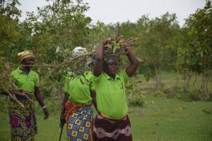 World Vision project ‘turns shrubs into trees’ in Garu-Tempane