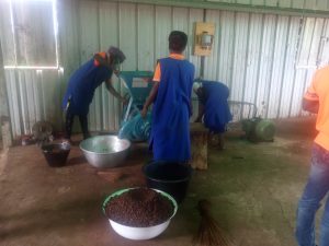 World Vision improves livelihoods in Garu-Tempane with shea butter