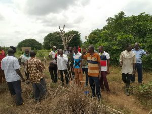 N/R: 200 farmers benefit from planting for foods and jobs