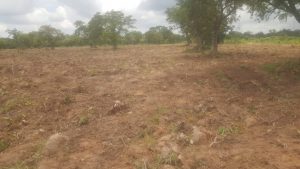 Bimbilla: Nanumbas, Konkombas in dispute over farm land