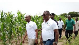 No record of maize imports this year, disregard claims – Dep. Minister