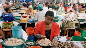 Tanzania’s Magufuli deploys military amid cashew nut crisis