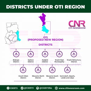 Referendum: Oti residents okay new region with 99% YES vote