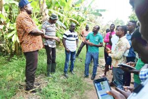 UNDP launches mobile app for tree registration in cocoa landscapes