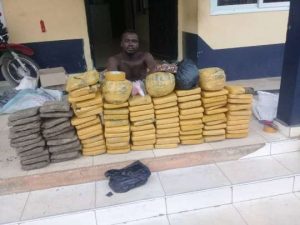 Landlord arrested for possessing over 100 parcels of ‘Wee’
