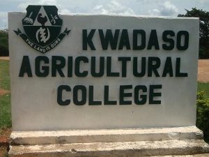 ‘Gov’t has failed us’ – College of Agric students cry out over allowances