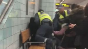 Swedish outcry as pregnant woman dragged off train