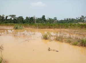Experts must reclaim Aminasi Forest reserve – Anti-galamsey taskforce
