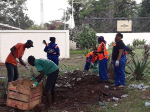 AMA workers clean up around Jubilee House after report on filth