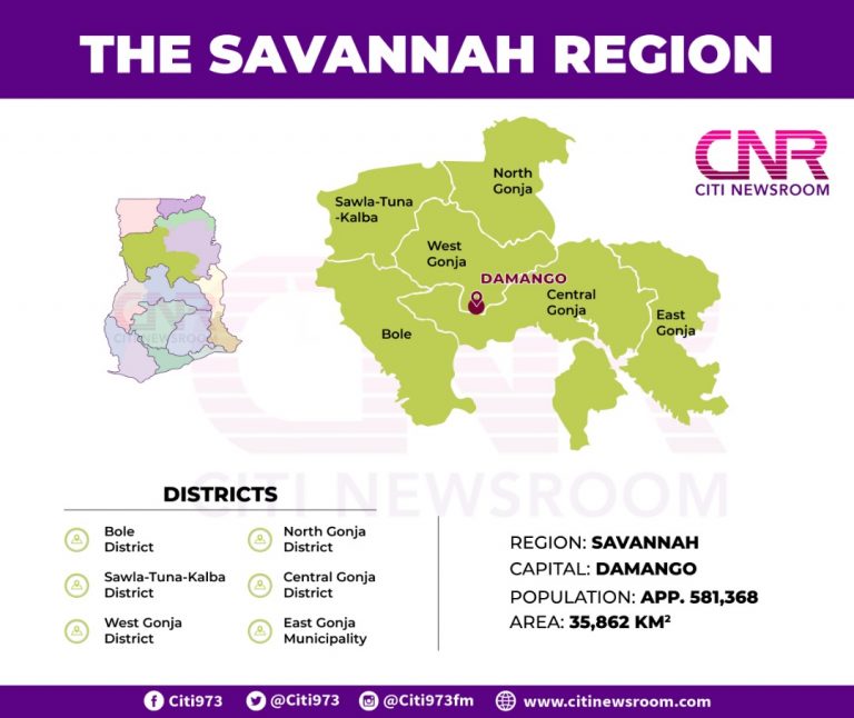 Savannah Region 768x646 