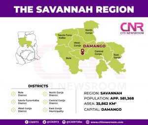 Infographic: Brief facts about the new Savannah region