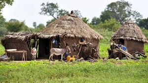 Mali bans hunting society after attack kills 130 Fulani