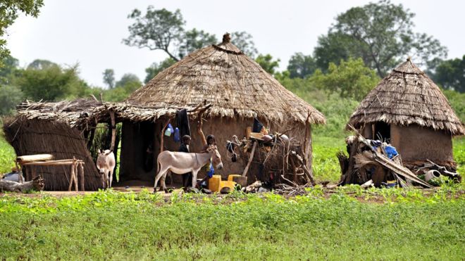 Fulani are semi-nomadic herders

Photo credit: Getty Images