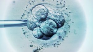 Man arrested at airport with human embryo