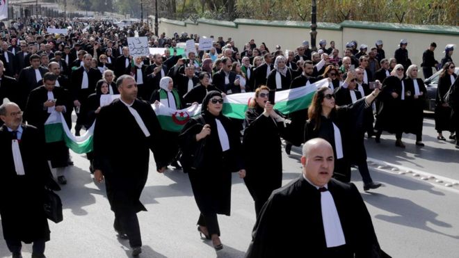 Lawyers took to the streets of the capital Algiers on Thursday