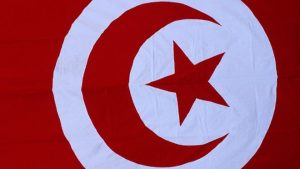 Tunisian health minister resigns over 11 baby deaths