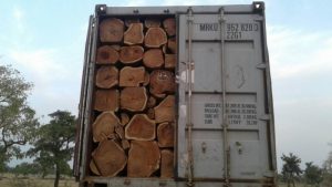 Elizabeth Ohene writes: Rosewood, the timber to kill for