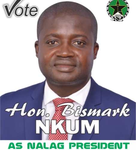 Bismark Nkum, Gomoa West DCE.