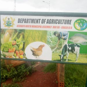 Asunafo North: Director arrested over missing ‘Planting for Food and Jobs’ fertilizer