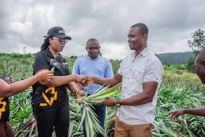 GEPA presents two million pineapple suckers to exporters, out-growers 