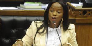 South Africa MP ‘racially abused’ at top tourist site