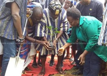 Okyenhene begins drive to plant 25 million trees in five years (3)