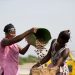 Women farmers bagging freshly dried cashew nuts