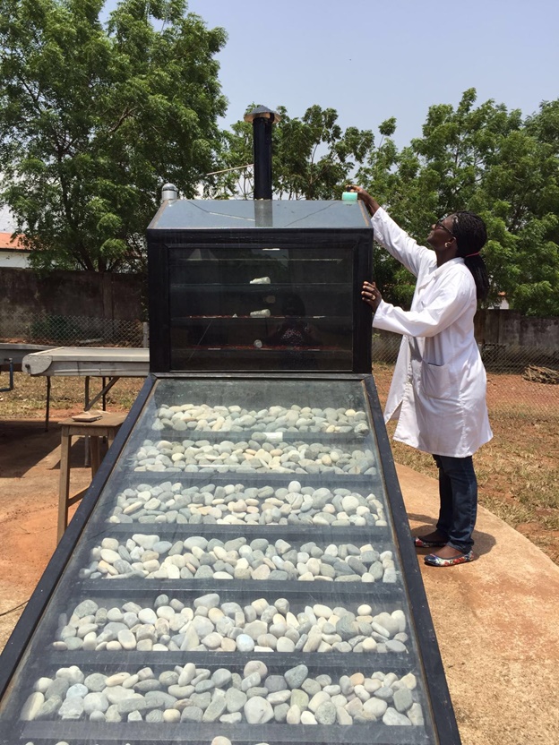 Personality Profile: How a Ghanaian scientist is working to decrease Ghana’s dependence on tomato paste