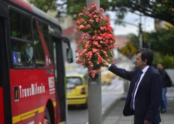 Secretary of Mobility of Bogota walks the flower lined streets of Bogotá in honor of road traffic victims