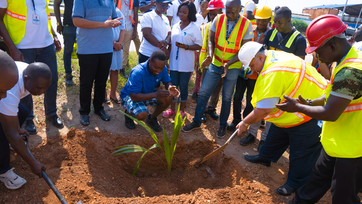 MPS staff engage in tree planting exercise