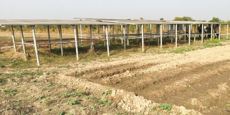 UNDP solar irrigation facilities for farmers in Northern Region of Ghana. Photo: Praise Nutakor /UNDP