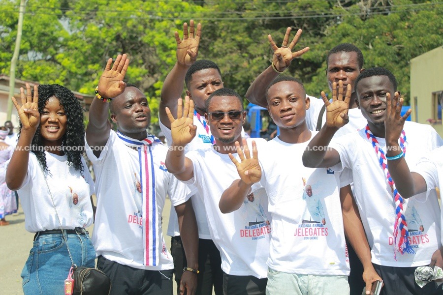 NPP holds Annual Delegates Conference (15)