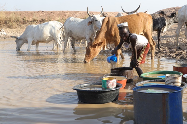 N/R: Communities ushered into season of long search for water and thirst