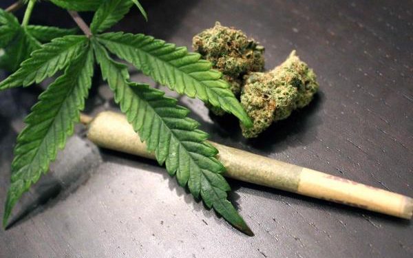 Ghana legalises cannabis for health and industrial purposes