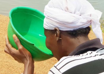 Aisha, drinking water from a dam in Tampion, Northern Region of Ghana. Photo: Praise Nutakor/UNDP