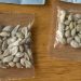 Mystery seeds- Amazon bans foreign plant sales in US