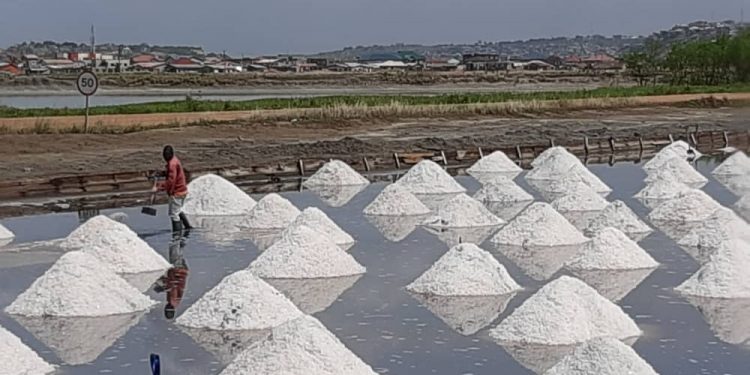 pambros salt industries