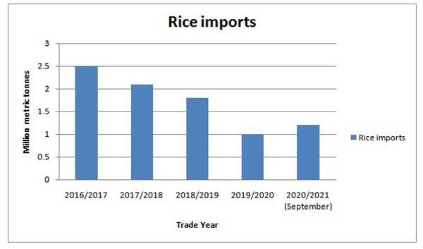 Fact-check: Osofo Kyiri Abosom’s claim about Nigeria banning importation of rice checked