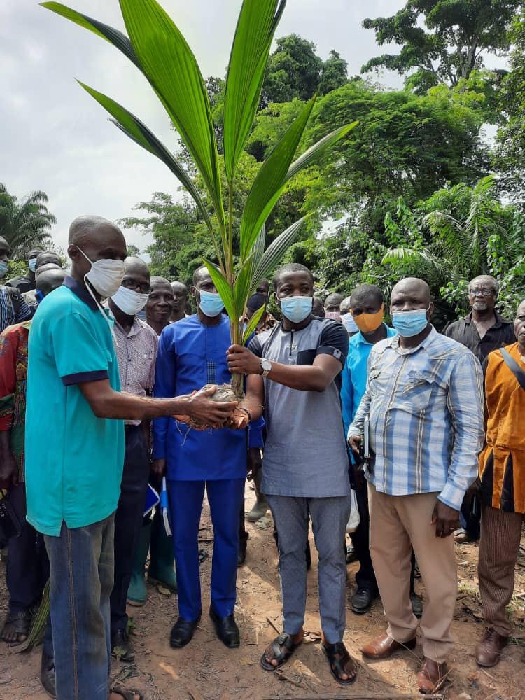 Adansi Akrofuom: DCE, MP donate cocunut seedlings to farmers