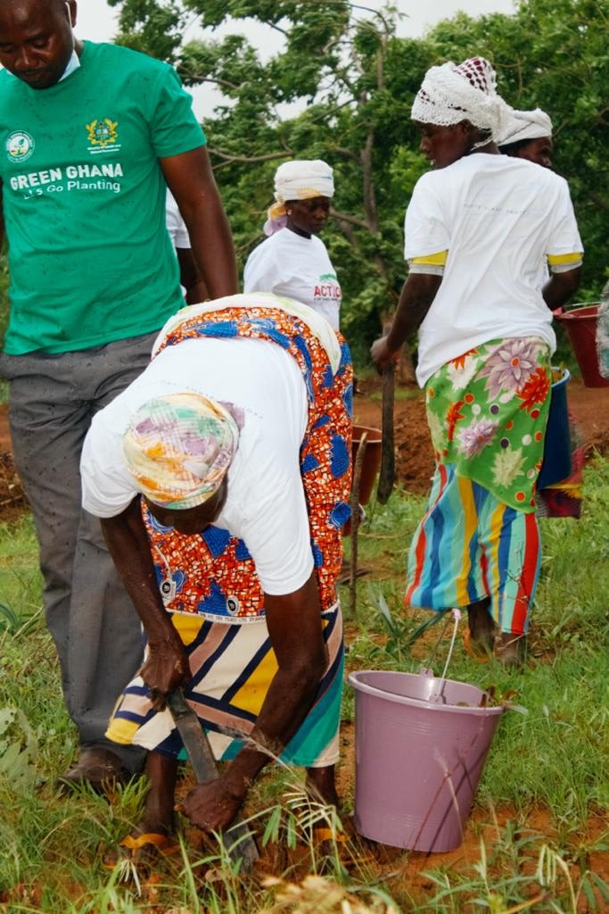 Green Ghana Day: Global Shea Alliance to plant 10 Million shea trees across West Africa