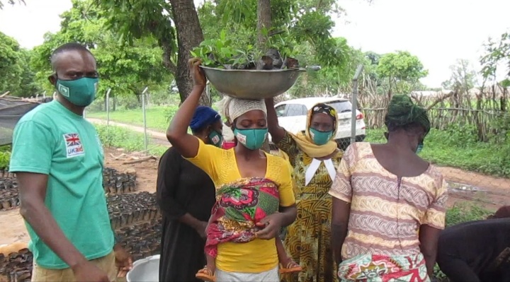 Distribute more economic trees for Green Ghana project – TREE AID