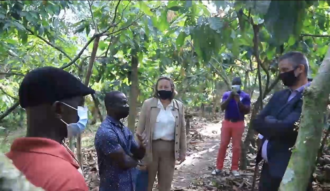 Engage in climate-friendly practices – UK government urges Ghanaian cocoa farmers