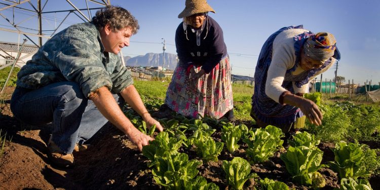 Rob Small talks to two women about better gardening techiniques at one of a hundred Albalami Bezehkaya supported gardens in Cape Town, South Africa on the 9th June, 2009. The Abalami Bezehkaya project, that teaches people better farming techniques and sells fresh produce weekly to generate incomes for the farmers involved.